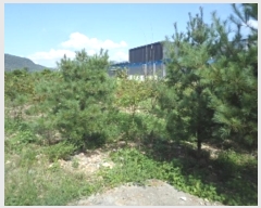  2024Ÿ��12090  ��õ���