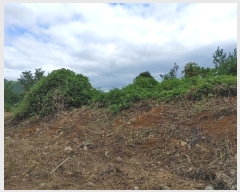  2024Ÿ��12090  ��õ���