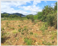  2024Ÿ��12090  ��õ���