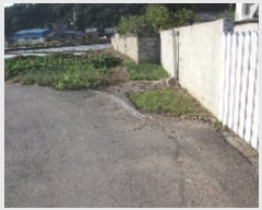  2024Ÿ��12465 �泲 â�籺 ������ �ջ긮 309-3      ����(��)���