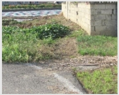  2024Ÿ��12465 �泲 â�籺 ������ �ջ긮 309-3      ����(��)���