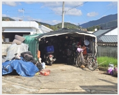  2024Ÿ��12946  ���ð��