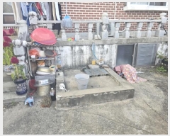  2024Ÿ��12946  ���ð��