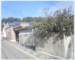  2024Ÿ��12946  ���ð��