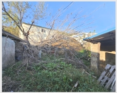  2024Ÿ13062 泲 о 󳲸 ̸ 988-1      ()