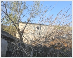  2024Ÿ13062 泲 о 󳲸 ̸ 988-1      ()