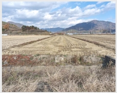  2024Ÿ��13185 �泲 �о�� �ʵ��� ������ 2670      ����(��)���