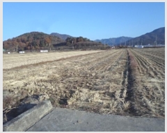  2024Ÿ��13185 �泲 �о�� �ʵ��� ������ 2670      ����(��)���