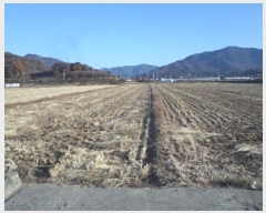  2024Ÿ��13185 �泲 �о�� �ʵ��� ������ 2670      ����(��)���