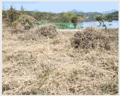  2024Ÿ��13277  �����