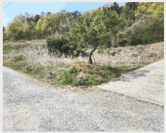  2024Ÿ��13277  �����