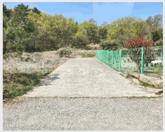  2024Ÿ��13277  �����