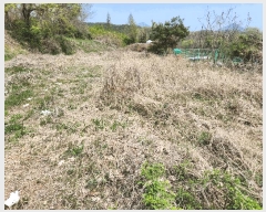  2024Ÿ��13277  �����