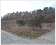  2024Ÿ��13277  �����