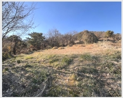  2024Ÿ��13406 �泲 �о�� �󳲸� ������ 1300      ����(��1)���