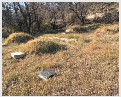  2024Ÿ��13406 �泲 �о�� �󳲸� ������ 1300      ����(��1)���