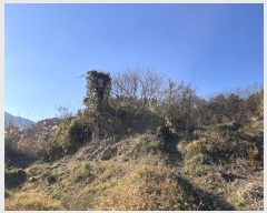  2024Ÿ��13406 �泲 �о�� �󳲸� ������ 1300      ����(��1)���