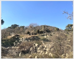  2024Ÿ��13406 �泲 �о�� �󳲸� ������ 1300      ����(��1)���