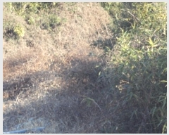  2024Ÿ��13406 �泲 �о�� �󳲸� ������ 1300      ����(��1)���