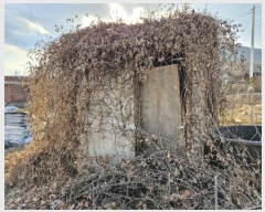  2024Ÿ��13444  �����