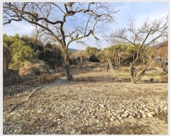  2024Ÿ��13444  �����