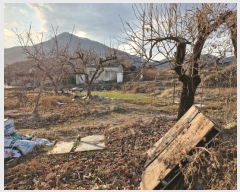  2024Ÿ��13444  �����