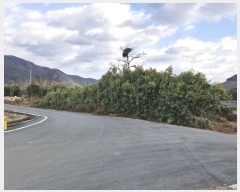  2024Ÿ��13444  �����