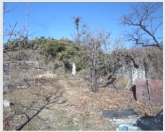  2024Ÿ��13444  �����