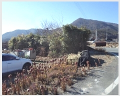  2024Ÿ��13444  �����