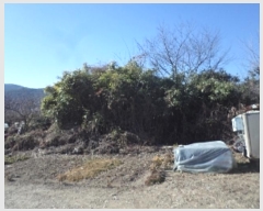  2024Ÿ��13444  �����