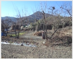  2024Ÿ��13444  �����