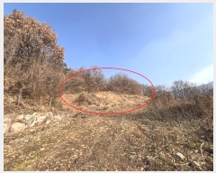  2024Ÿ��13468 �泲 �о�� �곻�� �۹鸮 1033-12      ����(��)���