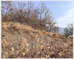  2024Ÿ��13468 �泲 �о�� �곻�� �۹鸮 1033-12      ����(��)���