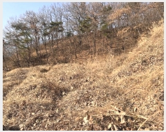  2024Ÿ��13468 �泲 �о�� �곻�� �۹鸮 1033-12      ����(��)���