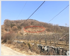  2024Ÿ��13468 �泲 �о�� �곻�� �۹鸮 1033-12      ����(��)���