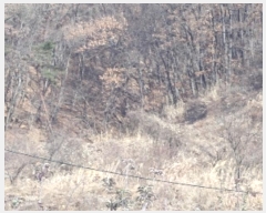  2024Ÿ��13468 �泲 �о�� �곻�� �۹鸮 1033-12      ����(��)���