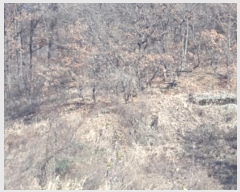  2024Ÿ��13468 �泲 �о�� �곻�� �۹鸮 1033-12      ����(��)���