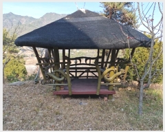  2024Ÿ��13505  ���ڽü����