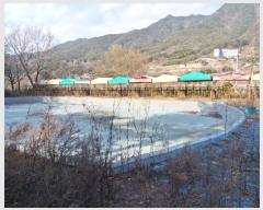  2024Ÿ��13505  ���ڽü����