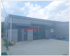  2024Ÿ��557  â�����