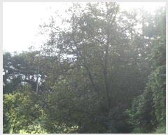  2024Ÿ939 泲 Ծ籺 Ǹ 븮 250      (1)