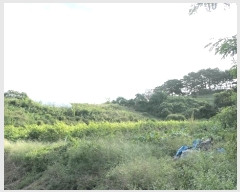  2024Ÿ939 泲 Ծ籺 Ǹ 븮 250      (1)