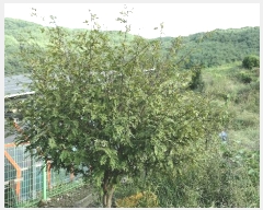  2024Ÿ939 泲 Ծ籺 Ǹ 븮 250      (1)