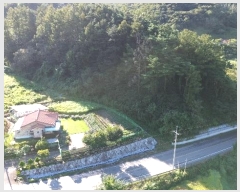  2024Ÿ939 泲 Ծ籺 Ǹ 븮 250      (1)