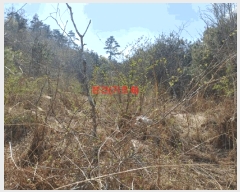  2024Ÿ��1031  â�����