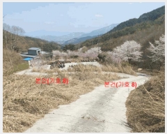  2024Ÿ��1031  â�����