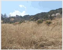  2024Ÿ��1031  â�����