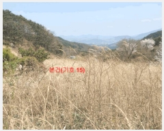  2024Ÿ��1031  â�����