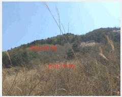  2024Ÿ��1031  â�����