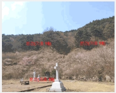  2024Ÿ��1031  â�����